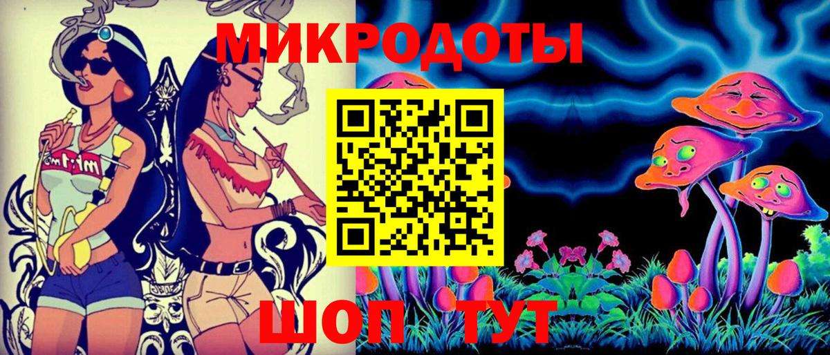 Псилоцибиновые грибы Psilocybe Кушва