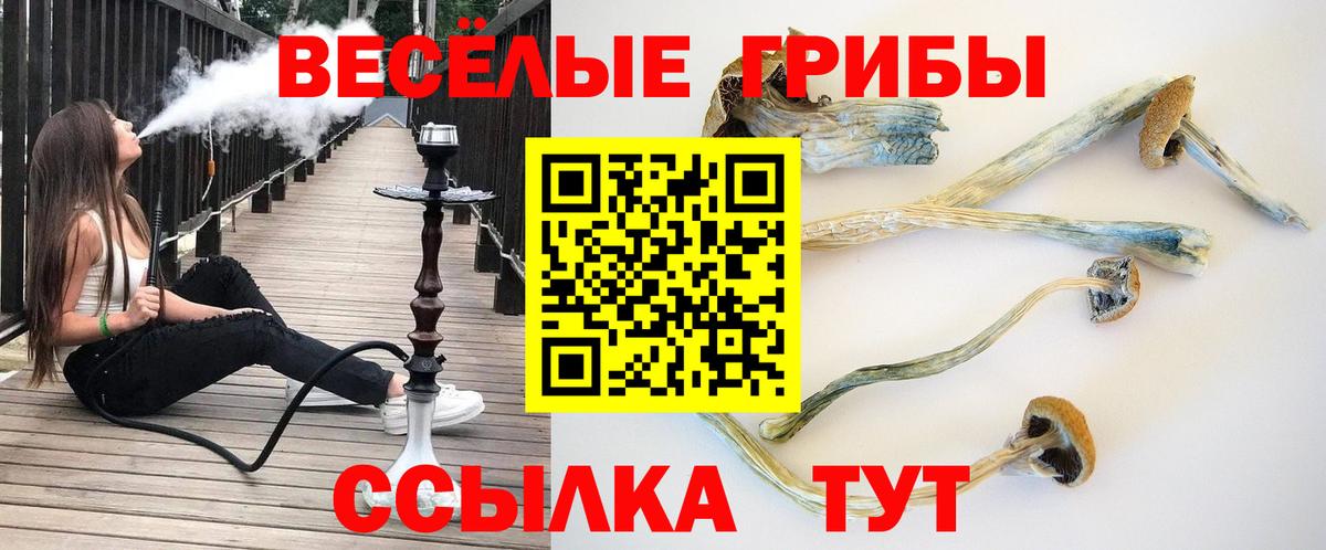 Кушва  Галлюциногенные грибы мицелий  Вход с VPN 